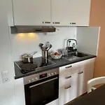 Appartement In Freudenstadt-kniebis Iii *