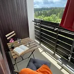 In Freudenstadt-kniebis Iii Appartement *