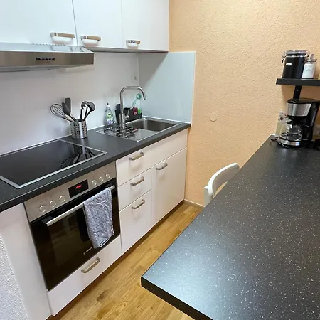 In Freudenstadt-kniebis Iii Apartment *