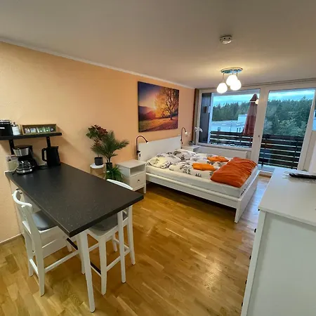 In Freudenstadt-kniebis Iii Apartment *
