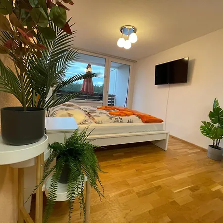 In Freudenstadt-kniebis Iii Apartment Freudenstadt