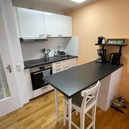 In Freudenstadt-kniebis Iii Apartment *