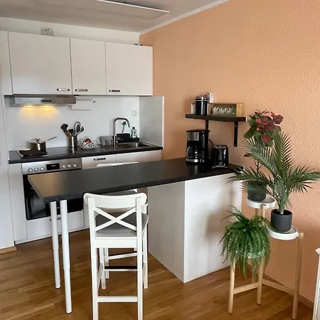 In Freudenstadt-kniebis Iii *