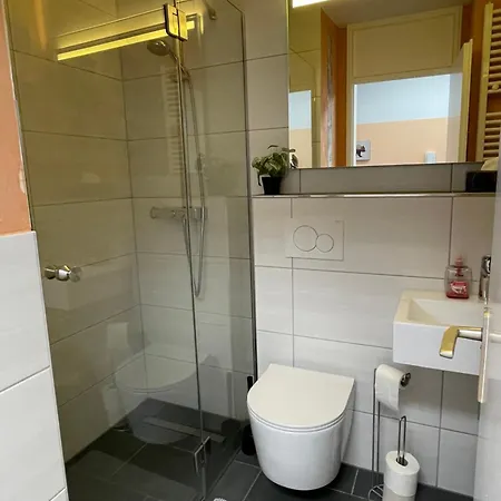 In Freudenstadt-kniebis Iii Appartamento