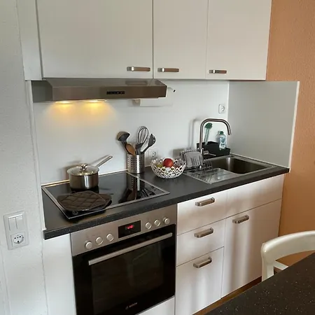 Appartement In Freudenstadt-kniebis Iii *