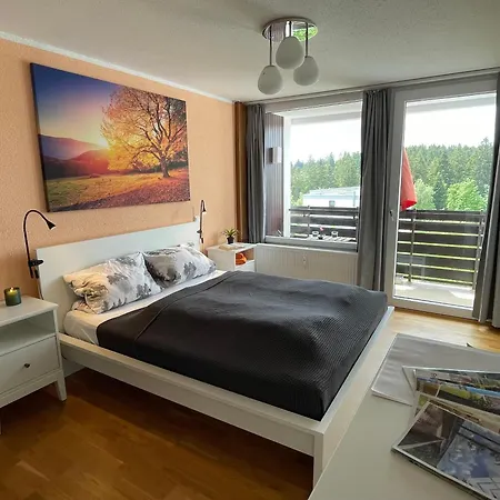 In Freudenstadt-kniebis Iii 아파트 프로이덴슈타트