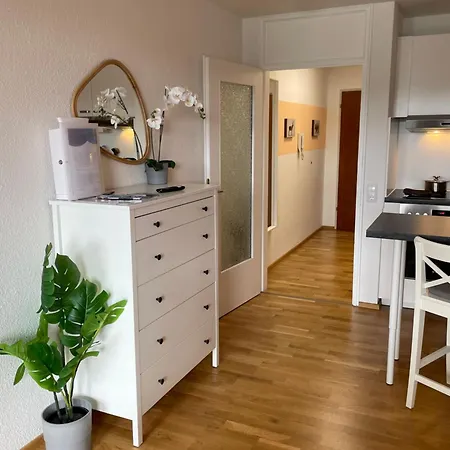 Appartamento In Freudenstadt-kniebis Iii Freudenstadt