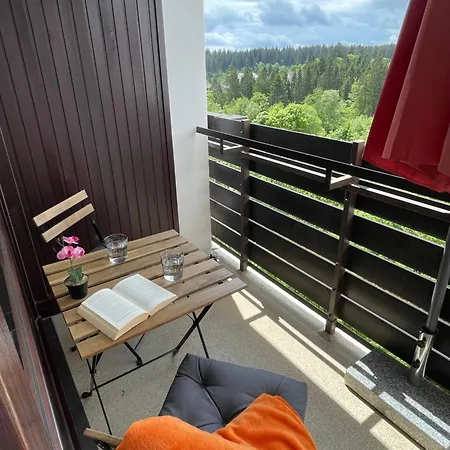 In Freudenstadt-kniebis Iii 아파트 *