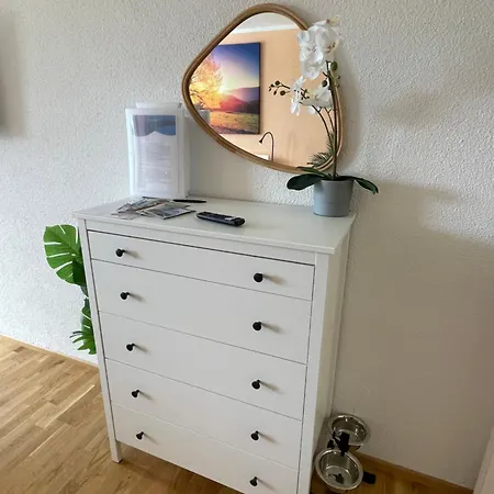 아파트 In Freudenstadt-kniebis Iii