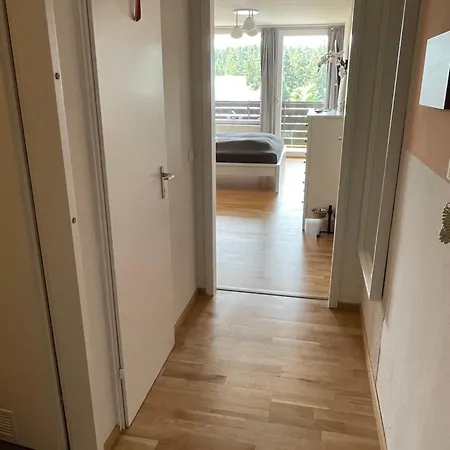 In Freudenstadt-kniebis Iii *